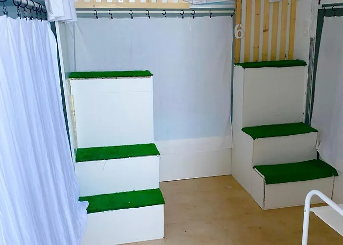 Backpacker Eras Ii Hostel